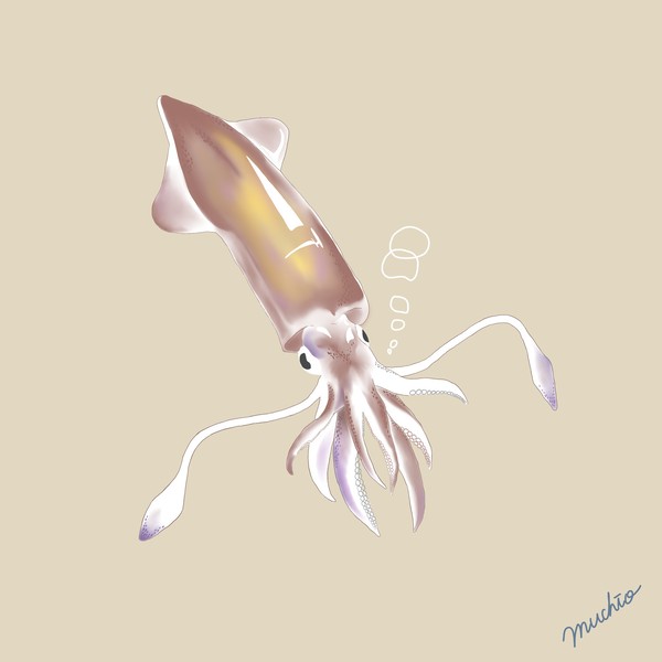 剣先イカ