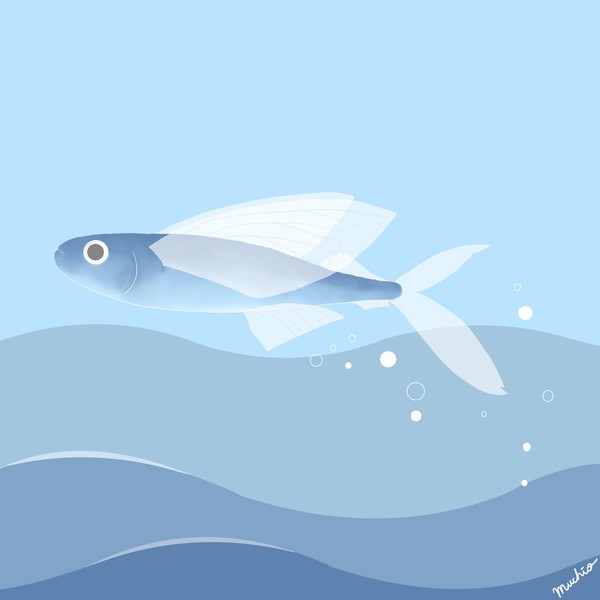 トビウオ