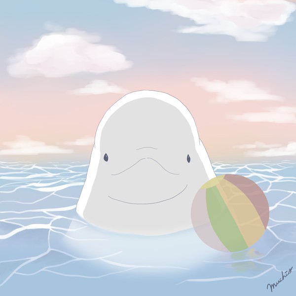 シロイルカ
