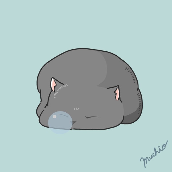 鼻提灯猫：黒猫