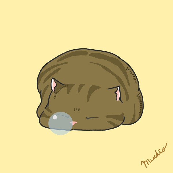 鼻提灯猫：トラ猫