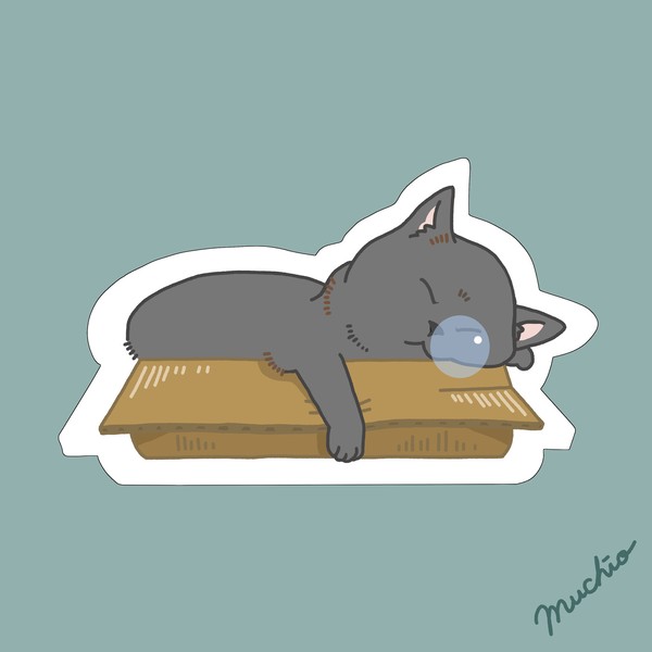 鼻提灯猫：箱入り黒猫