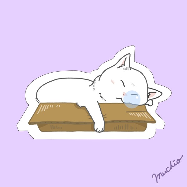 鼻提灯猫：箱入り白猫