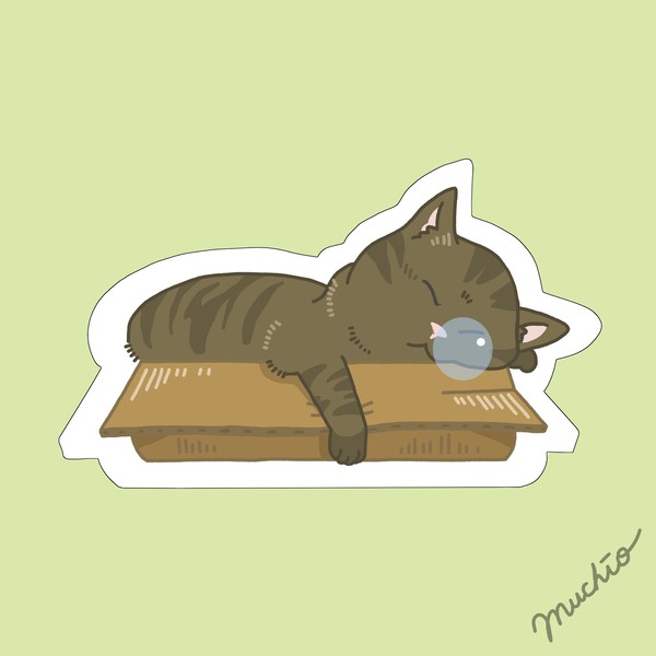 鼻提灯猫：箱入りトラ猫