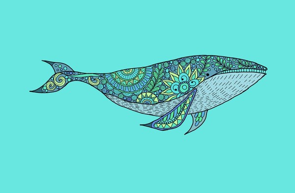 blue whale 