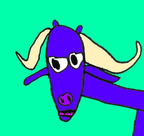 buffalo