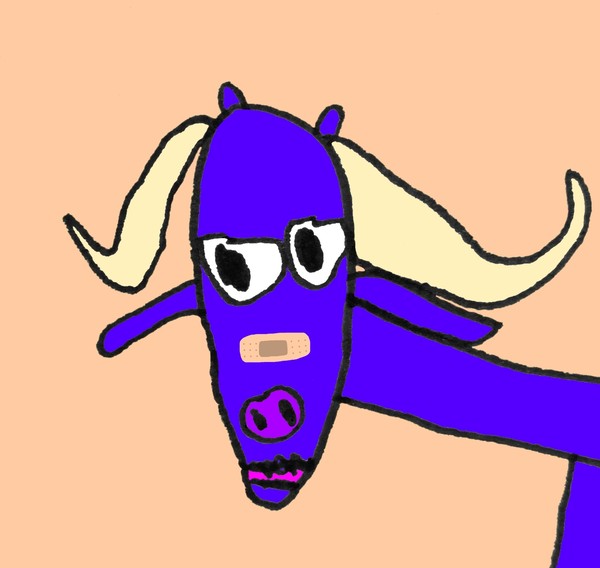 buffalo 4