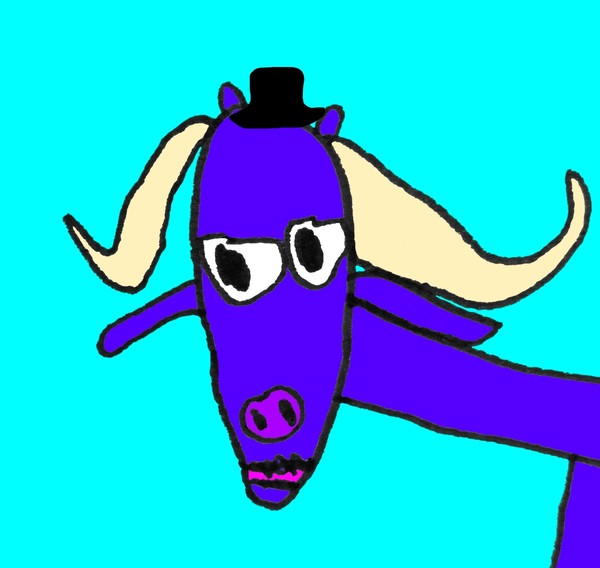 buffalo 5