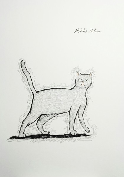 cat 3 #1/10