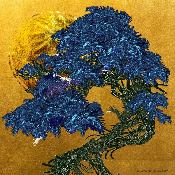 Soma Tsuchida BONSAI 2025 #1/3