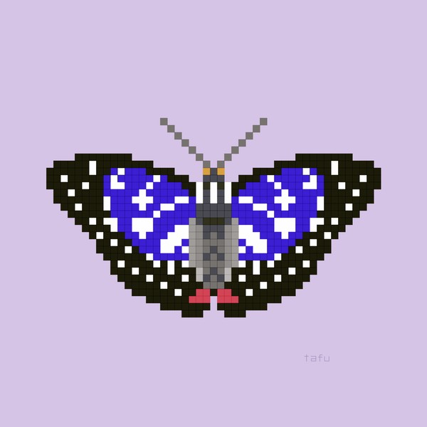 オオムラサキ