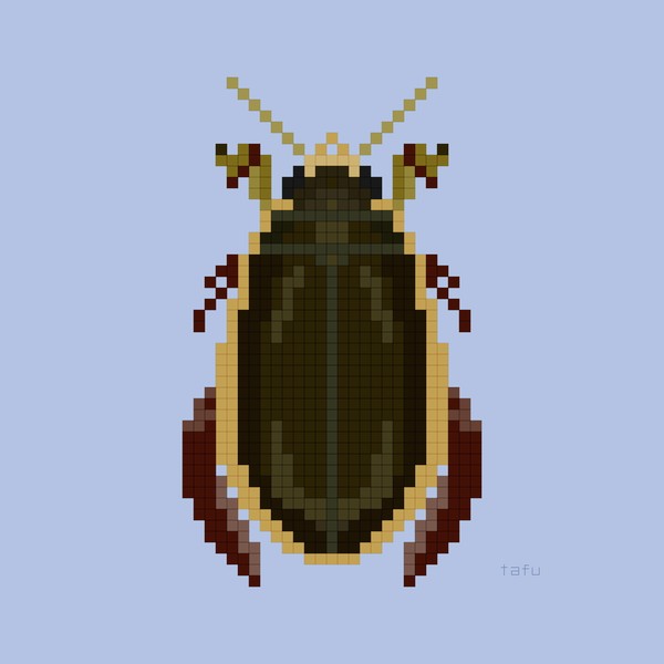ナミゲンゴロウ