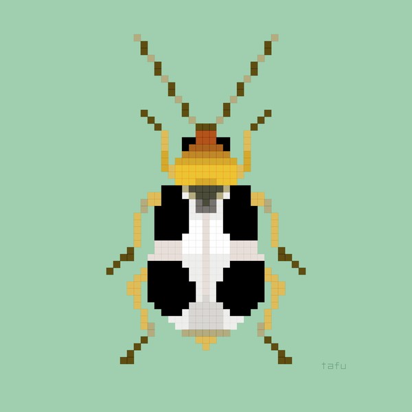 ヨツボシハムシ #3/23