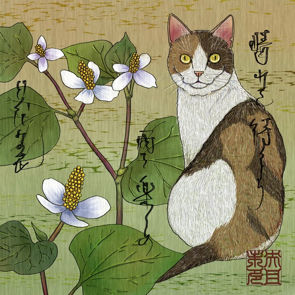 猫5「晴れを待つより 雨を楽しめ どくだみの花」