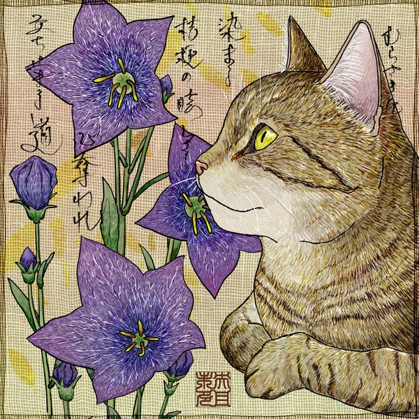 猫40「むらさきに　染まる桔梗の眩しさよ　心奪われ立ち止まる道」