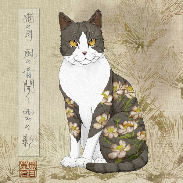 猫63「猫の耳　風の音聞く　雲の影」