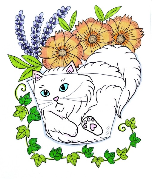 猫は液体②