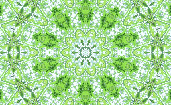 sasa_shikaku_03_230331 #2/100