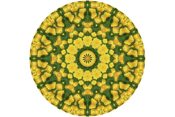 cyurip_maru_02 #1/10