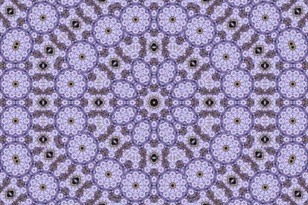 fuji_shikaku_02 #1/10