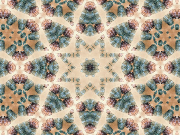 edokiriko_shikaku_01