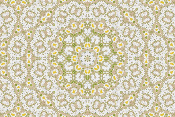 marguerite_shikaku_01