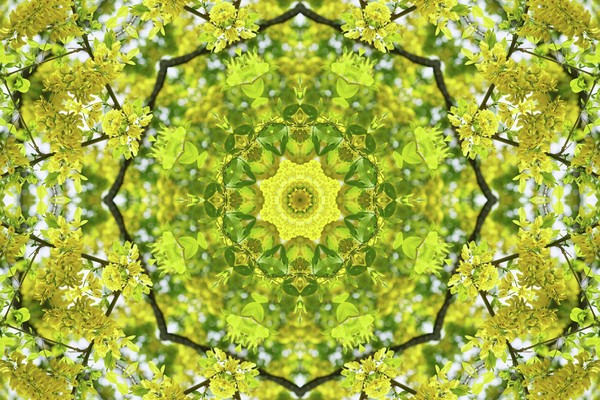 kingusari_shikaku_01