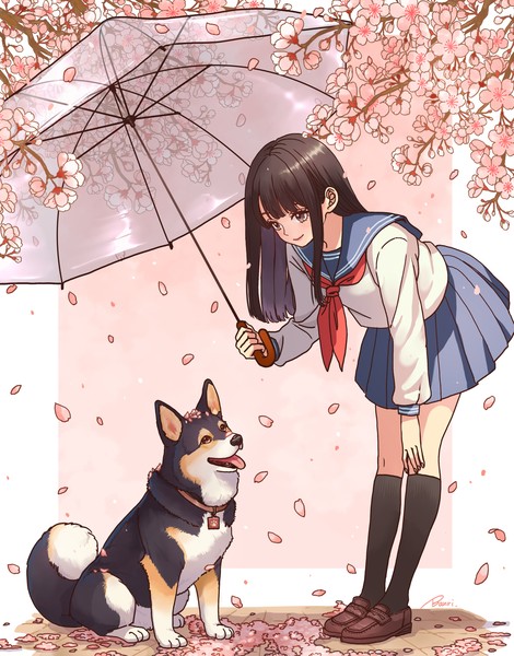 花雨