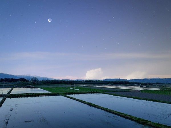【Pen  写真】夜更けの水田 #1/30