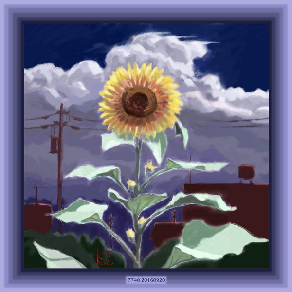 雲を背負う向日葵 ＿＿Sunflower Beneath the Clouds