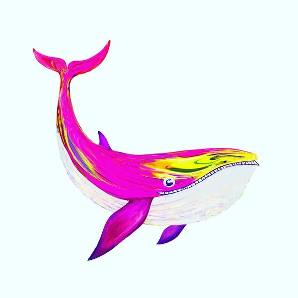 my echolocation 