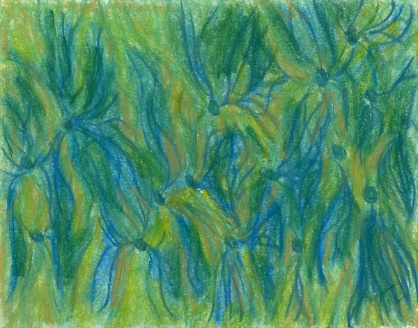 File No.2-8 mayflies