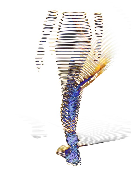 人体（習作１） #1/5