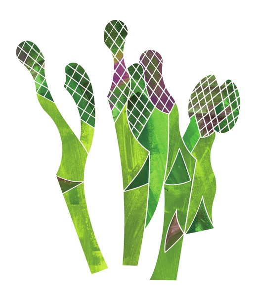 アスパラガス asparagus #1/5