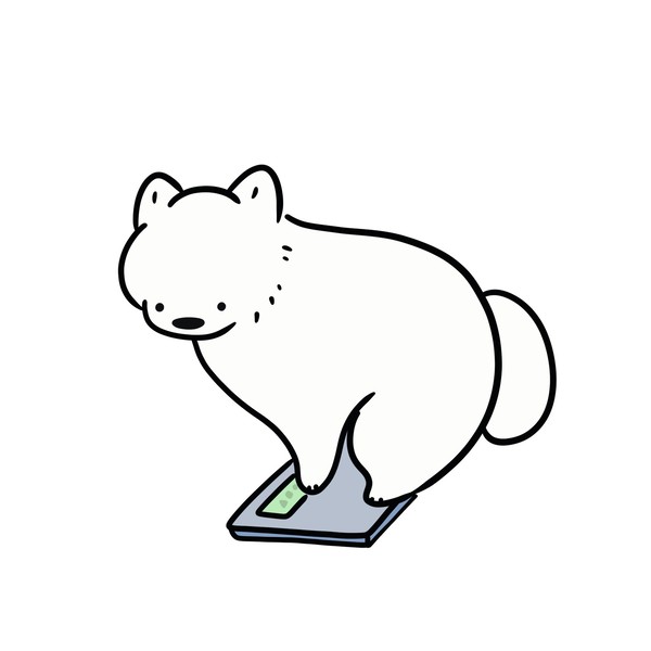 たいじゅうをそくていするいぬ