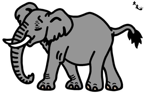 アフリカゾウ