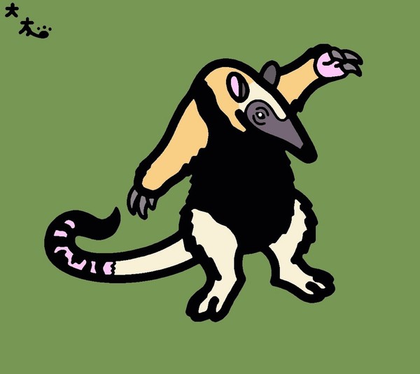 キタコアリクイ