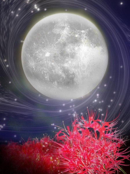 曼珠沙華と月
