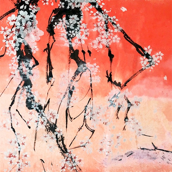 宮島桜　Miyajima cherry blossoms #1/4