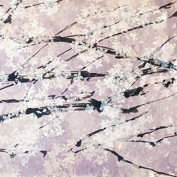 九段下桜　Kudanshita cherry blossoms #1/4