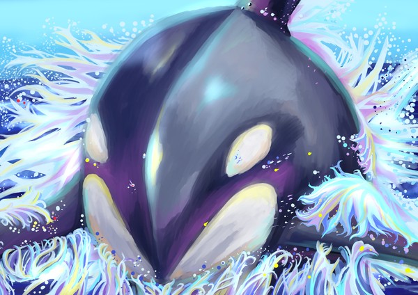 WAVE #1/2
