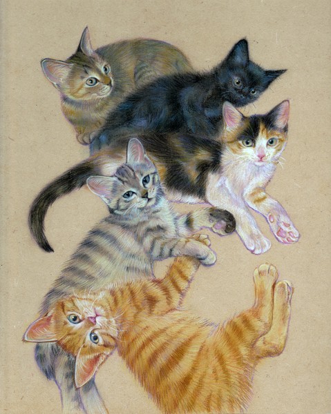 ねこねこねこねこねこ