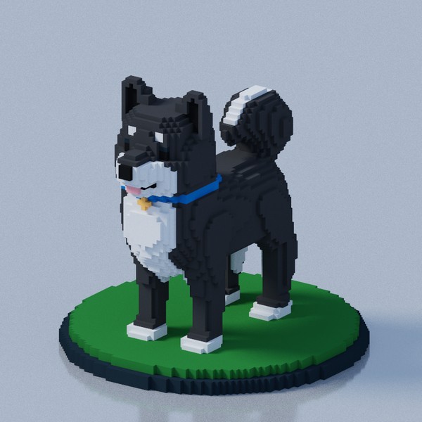 SHIBA INU #14/20