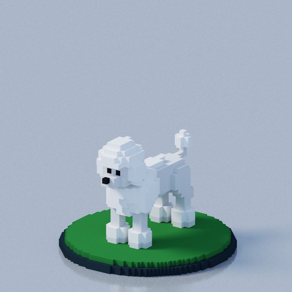 POODLE #565/1000
