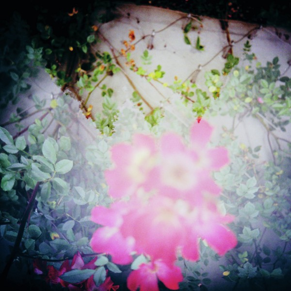 from here to there 001