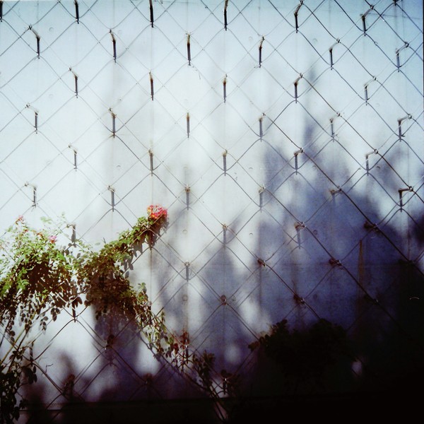 from here to there 003