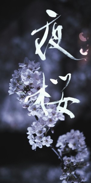 夜桜-cherry blossoms at night-