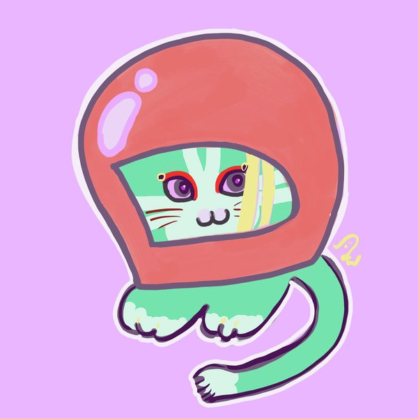 ヘルメットにゃーむす 5