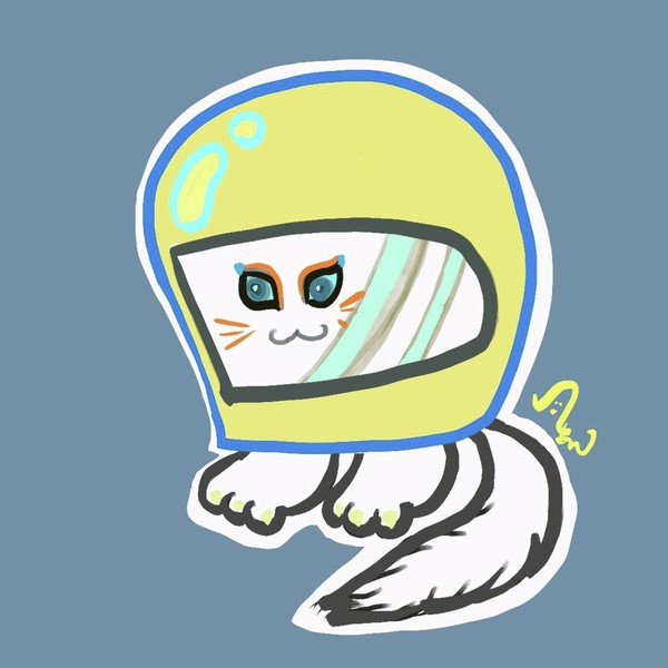ヘルメットにゃーむす 1