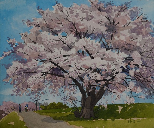 Art Collection -spring-008